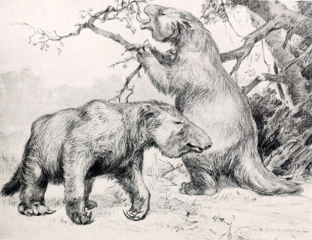 Depiction of Megatherium americanum as drawn in 1913 by Robert Bruce Horsfall (1869-1948)