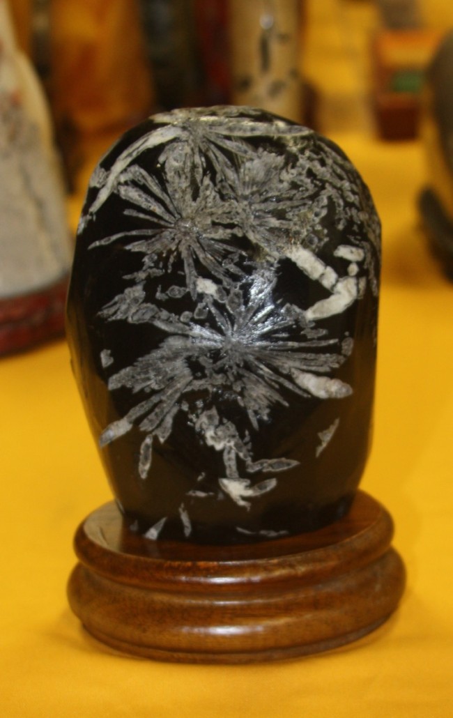 The 'chrysanthemum stone,' the 'leaves' and 'petals' of the 'flowers' created when the black sedimentary rock infused with calcite were subjected to heat and compression at the time when mountains were created. Photo author